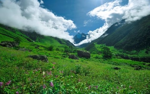 Visit Nanda Devi National Park